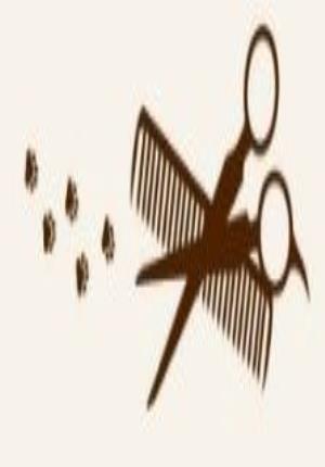 説明画像1