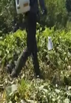 説明画像1