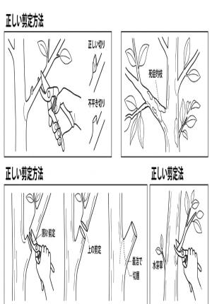説明画像1