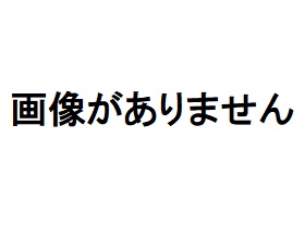 代表者